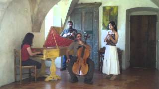 J.S.Bach - 14 Canons on the Goldberg ground BWV 1087